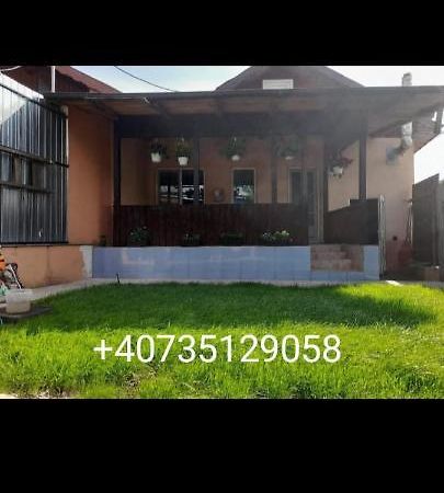 Central City House Tulcea Extérieur photo
