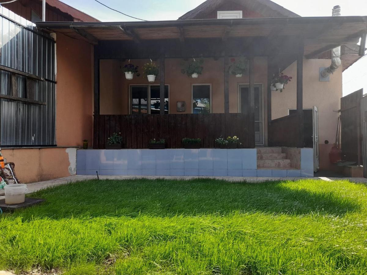 Central City House Tulcea Extérieur photo