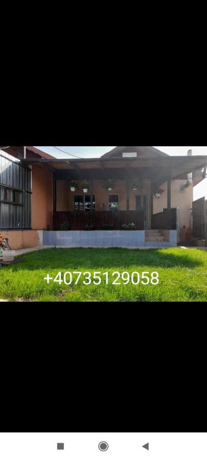 Central City House Tulcea Extérieur photo